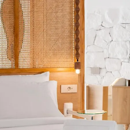 Anome Mykonos Experience Hotel
