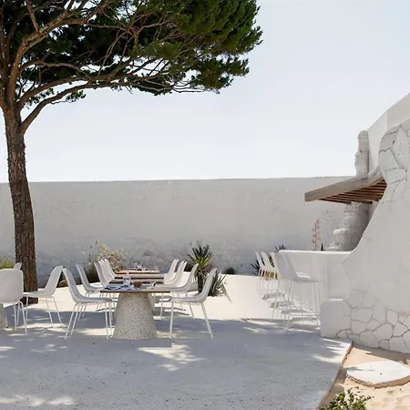 Anome Mykonos Experience